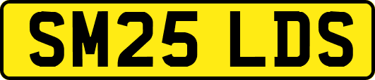 SM25LDS