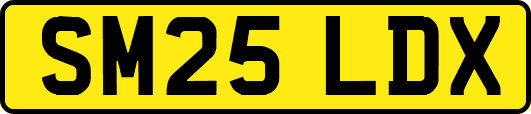 SM25LDX