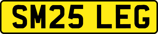 SM25LEG