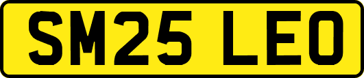 SM25LEO