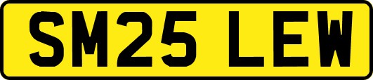 SM25LEW