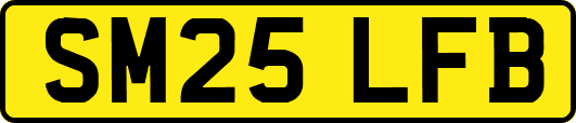 SM25LFB
