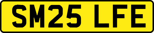 SM25LFE