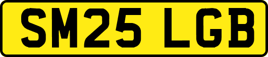 SM25LGB