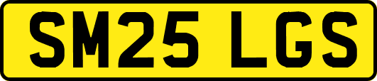 SM25LGS