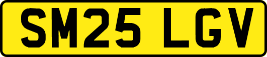 SM25LGV