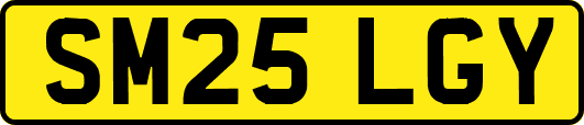 SM25LGY