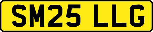 SM25LLG