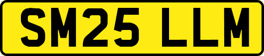 SM25LLM