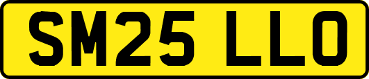 SM25LLO
