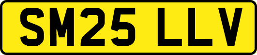 SM25LLV
