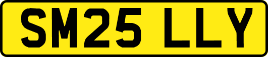 SM25LLY