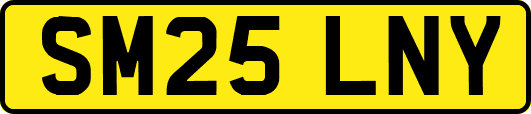 SM25LNY