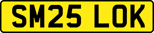 SM25LOK