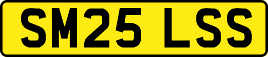 SM25LSS