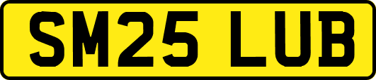 SM25LUB