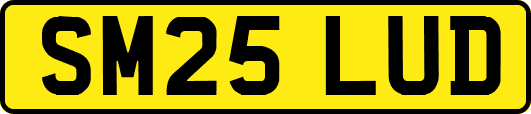 SM25LUD