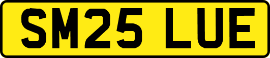 SM25LUE