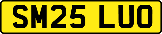 SM25LUO