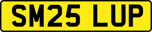SM25LUP