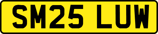 SM25LUW