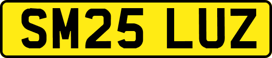 SM25LUZ
