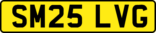 SM25LVG