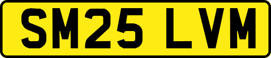 SM25LVM