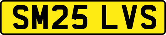 SM25LVS