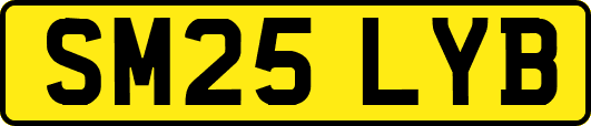 SM25LYB