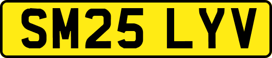 SM25LYV