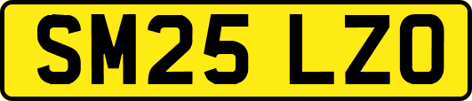 SM25LZO