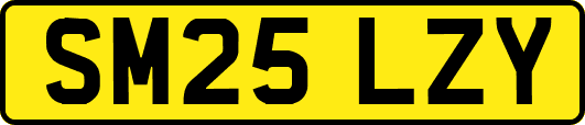 SM25LZY