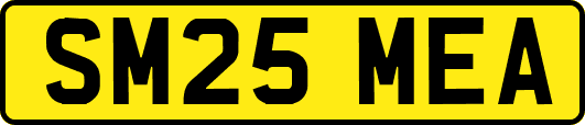SM25MEA