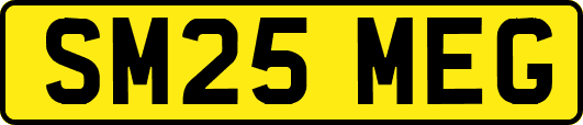 SM25MEG