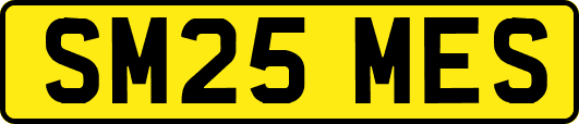SM25MES