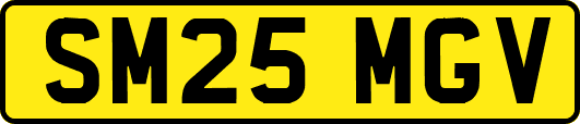 SM25MGV
