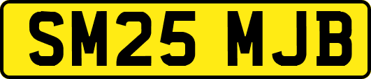 SM25MJB