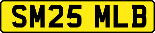 SM25MLB