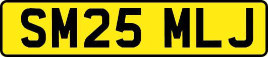 SM25MLJ