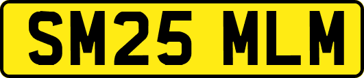 SM25MLM