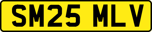 SM25MLV