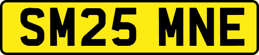 SM25MNE