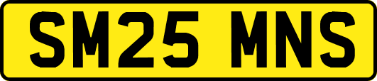 SM25MNS