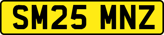 SM25MNZ