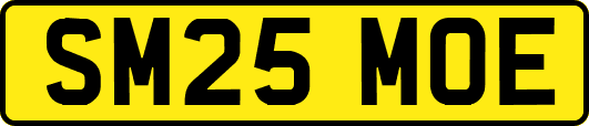 SM25MOE