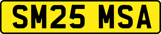 SM25MSA