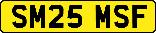 SM25MSF