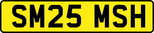 SM25MSH