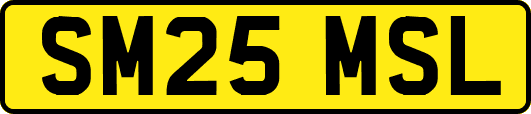 SM25MSL
